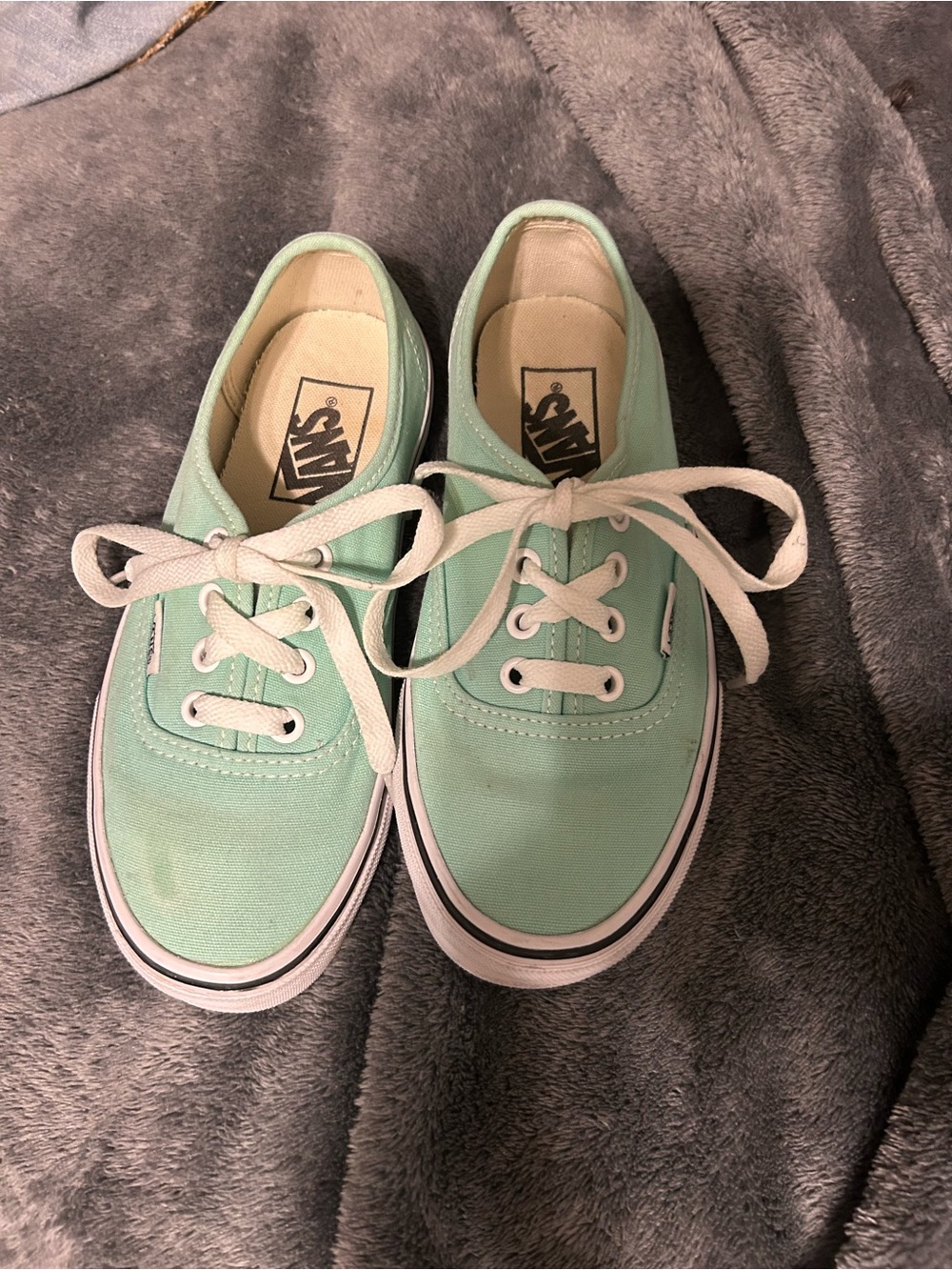 Vans Low-Top Canvas Sneakers in Mint
